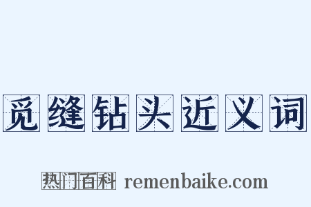 觅缝钻头近义词是什么意思的图片